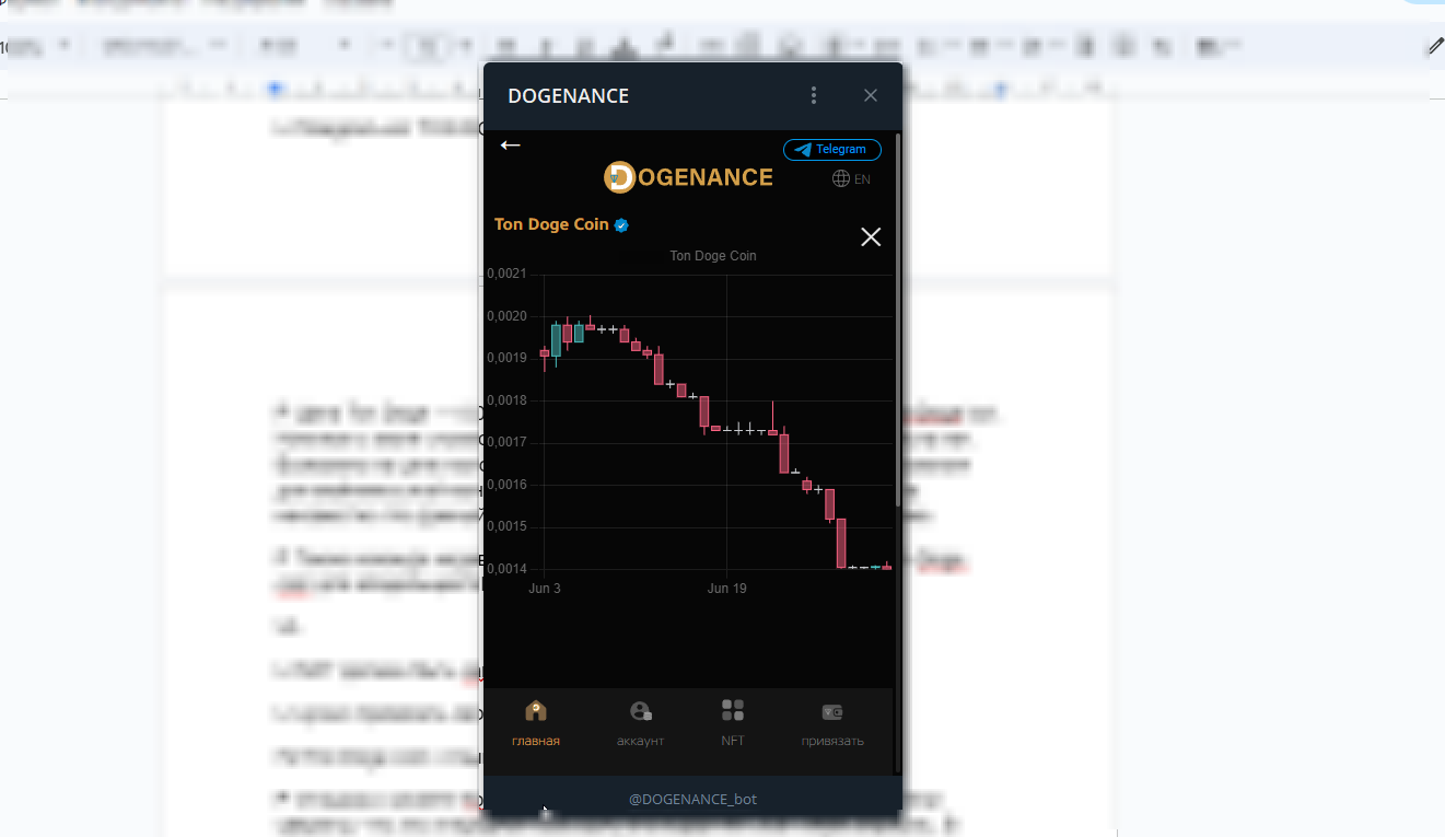 ton doge coin