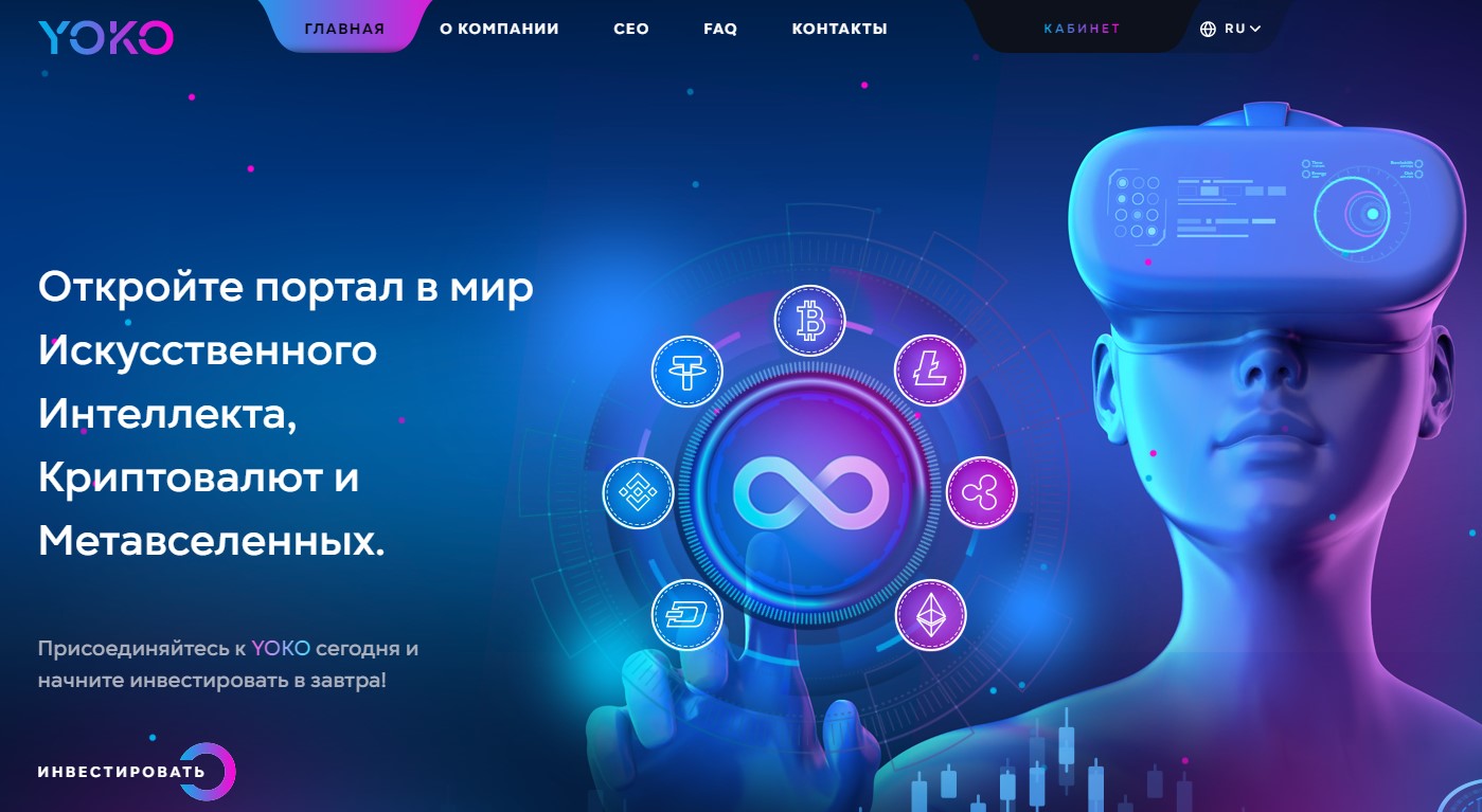 yoko zone отзывы