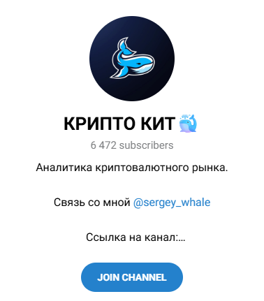 крипто кит отзывы